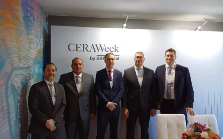 تعزيز التعاون المصري-الألماني في مجالات الطاقة والهيدروجين وتخزين الكربون