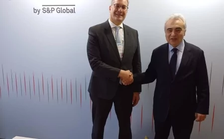 مصر تعزز تعاونها مع الوكالة الدولية للطاقة لدعم التحول إلى اقتصاد منخفض الكربون وتأمين مصادر طاقة مستدامة