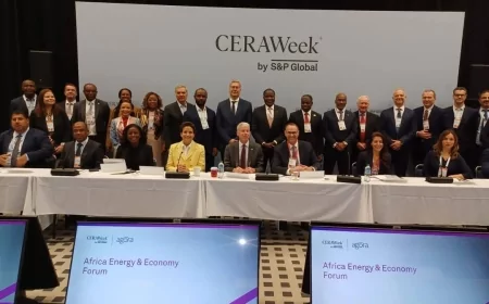 كريم بدوي يقود جهود تعزيز تكامل الطاقة وجذب الاستثمارات لتحقيق التنمية المستدامة في أفريقيا