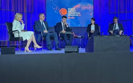 رؤية مصر في تحول الطاقة والتنمية المستدامة