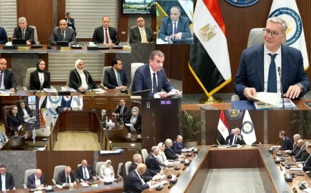 أرقام قياسية ومبادرات متميزة: حصاد ميدتاب في عام 2024