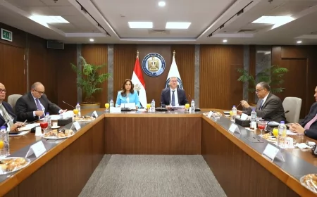 بدوي خلال اجتماع مجلس إدارة هيئة البترول :    إجراءات جديدة لتكثيف أعمال البحث والاستكشاف وزيادة الإنتاج