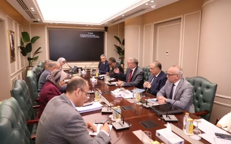 وزيرا البترول والكهرباء  يناقشان  خطة العمل المشترك وتوفير الوقود لتأمين التغذية الكهربائية خلال الصيف