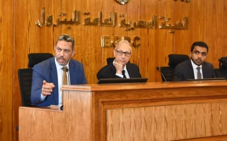 ورشة تحسين عمليات الحقن واستخلاص الزيت بهيئة البترول تناقش عمليات الإنتاج فى خالدة  وبتروبل وجابكو وبدرالدين
