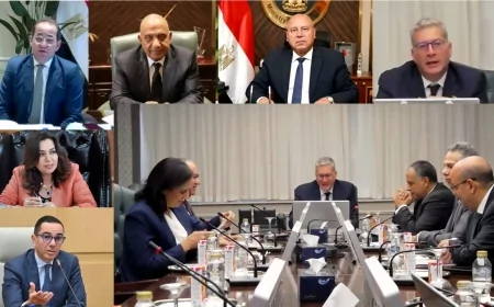 وزير البترول والثروة المعدنية : تأمين الاحتياجات المحلية من الغاز الطبيعى بأفضل الآليات لتقليل أعباء الاستيراد