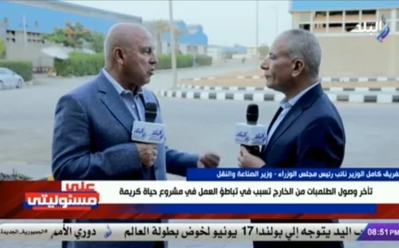 كامل الوزير: نعاني من نقص الطاقة في مصر.. ونحتاج لمصانع خلايا شمسية| فيديو