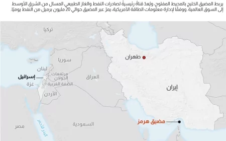 التوترات الجيوسياسية وانعكاسها على سوق النفط ومضيق هرمز