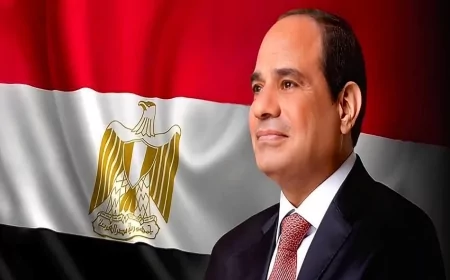 الرئيس السيسي يصدق على قانون العلاوة الدورية وزيادة الحوافز للعاملين بالدولة
