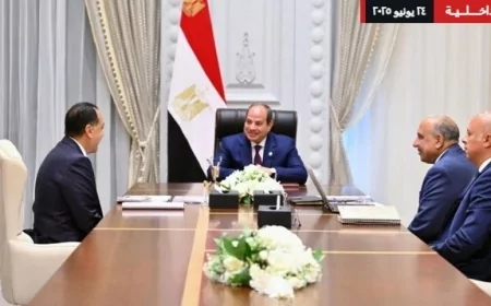 "الرئيس السيسي يتابع خطط تطوير قطاع الكهرباء والطاقة المتجددة وتوطين الصناعات المرتبطة"