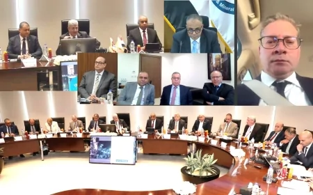 عموميتا بتروجت وانبي تقران المشاركة في تمويل وتنفيذ مصنع حامض الفسفوريك بالوادي الجديد