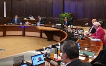 الحكومة تعلن استئناف ضخ الغاز للمصانع المتوقفة لتعزيز قطاع الصناعة في مصر