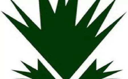 بعد تعاقد الحكومة على 160 شحنة غاز.. مصر تتجه للاستغناء عن الغاز الإسرائيلي