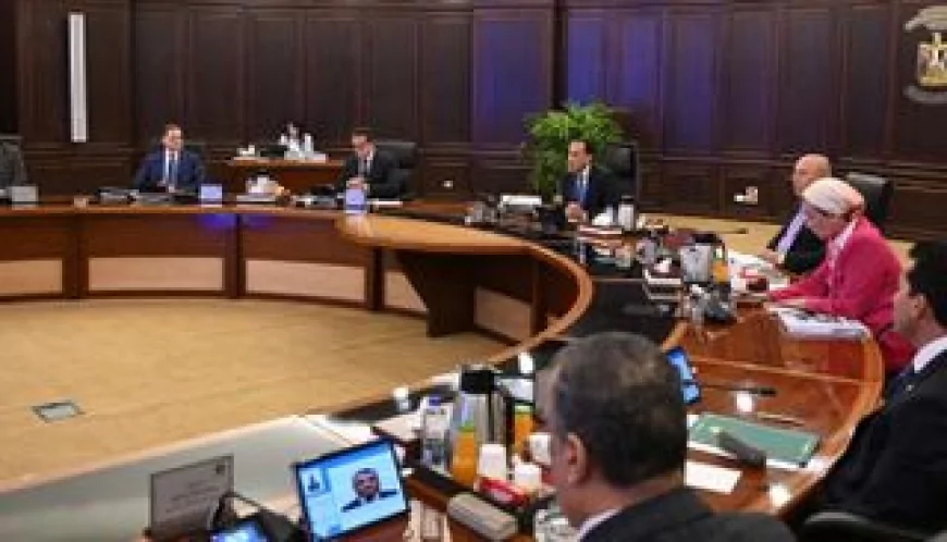 الحكومة تعلن استئناف ضخ الغاز للمصانع المتوقفة لتعزيز قطاع الصناعة في مصر