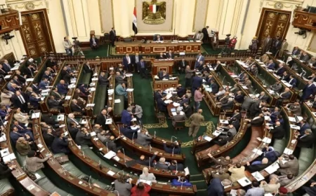 مجلس النواب يرخص لوزير البترول في التعاقد مع هيئة الثروة المعدنية  لاستغلال خام الذهب  في منطقةالسكري