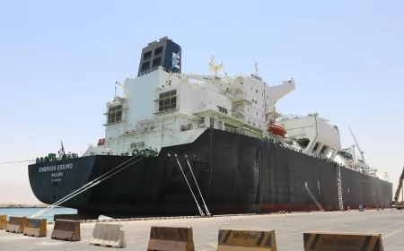 وزارة البترول والثروة المعدنية تؤمن إمدادات الغاز لجميع القطاعات بأربع سفن تغييز