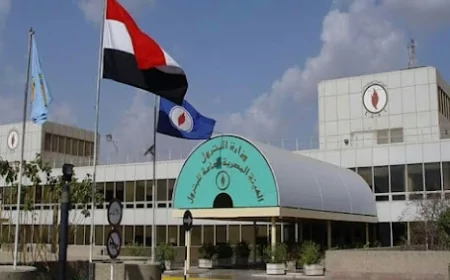 مصر تستورد 700 ألف طن من الوقود في يوليو لتأمين احتياجات الكهرباء والصناعة