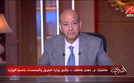 وزارة البترول تنفي تكبد الدولة خسائر 600 مليون دولار شهريًا بسبب تأخر تشغيل سفن التغويز