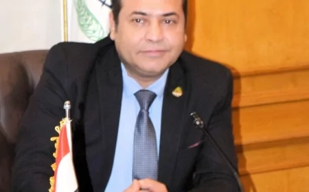 إيهاب سعيد: الخدمات الإلكترونية مستمرة..والدولة المصرية قادرة على مواجهه الظروف الاستثنائية
