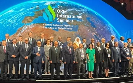 وزير البترول يشارك في اجتماع أوبك  في العاصمة النمساوية فيينا