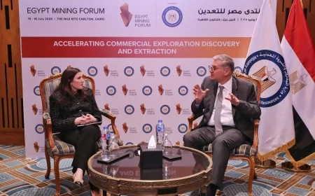كريم بدوي : الحكومة حريصة   على التعاون مع الشركاء الاستراتيجيين وتهيئة مناخ استثماري جاذب