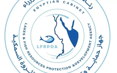 • "جهاز حماية وتنمية البحيرات" يطلق الدفعة الثالثة من يرقات الجمبري في بحيرة قارون ـ الفيوم