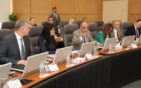 المجلس الأعلى للطاقة يناقش توفير الطاقة اللازمة ورفع القدرة لعدد 14 مشروعًا صناعيًا وخطوط إنتاج جديدة
