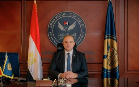  الهيئة العامة للرقابة المالية تصدر معايير الملاءة المالية للشركات والجهات العاملة في أنشطة التمويل غير المصرفي