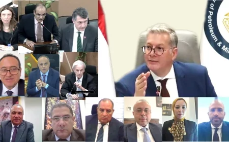 الصحراء الغربية تواصل البوح بأسرارها البترولية: بئر "شمال لوتس" الاستكشافي يضيف 3100 برميل مكافئ يوميًا