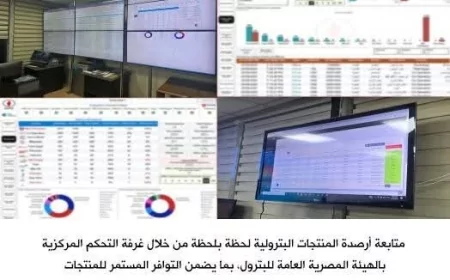 وزارة البترول تحكم قبضتها على سوق الوقود..  حملات تضبط وقودًا مهربًا بقيمة ملايين الجنيهات