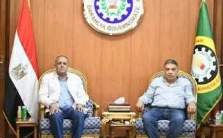 محافظ الدقهلية والرئيس التنفيذي لهيئة البترول يؤكدان على تطبيق القانون لحماية البيئة بجمصة من مخلفات حقول الغاز