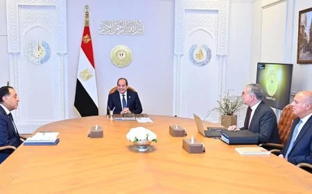 قطاع البترول على الطاولة الرئاسية: آبار جديدة واستراتيجية حتى 2040