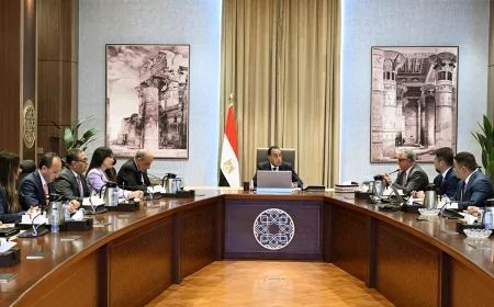 توطين صناعة الطاقة المتجددة في مصر.. رئيس الوزراء يبحث مع "صن ريف سولار" الصينية إنشاء مصنع بالعين السخنة
