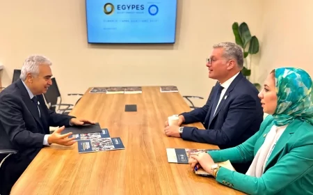 من خلال برنامج عمل مشترك : وزير البترول والثروة المعدنية يبحث تعزيز التعاون مع المدير التنفيذي لوكالة الطاقة الدولية