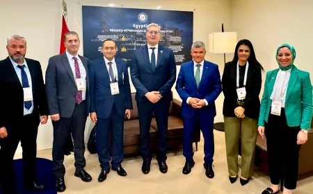 مصر وقبرص تبحثان تسريع ربط حقل كرونوس القبرصي بالبنية التحتية المصرية بحلول 2027