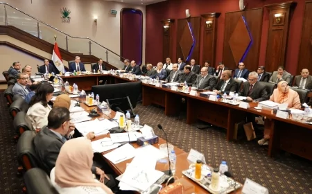 29 اكتشافاً يشعلون خريطة الغاز المصري