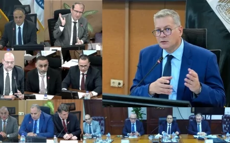 اعتماد نتائج أعمال الفرعونية للبترول عن العام المالي 2025/2024