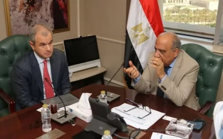 وزير الكهرباء يبحث مع "الكازار" الإماراتية تعزيز الاستثمارات في الطاقة المتجددة