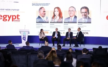 "الاستثمار" تعلن خطة لإلزام الجهات الحكومية بالرقمنة: 20 يوماً كحد أقصى للموافقات الاستثمارية