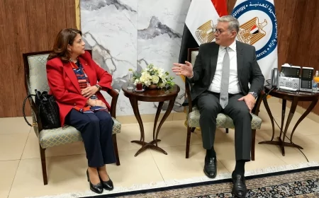 وزير البترول والثروة المعدنية يبحث استثمارات شل العالمية في البحث وإنتاج الغاز في مصر