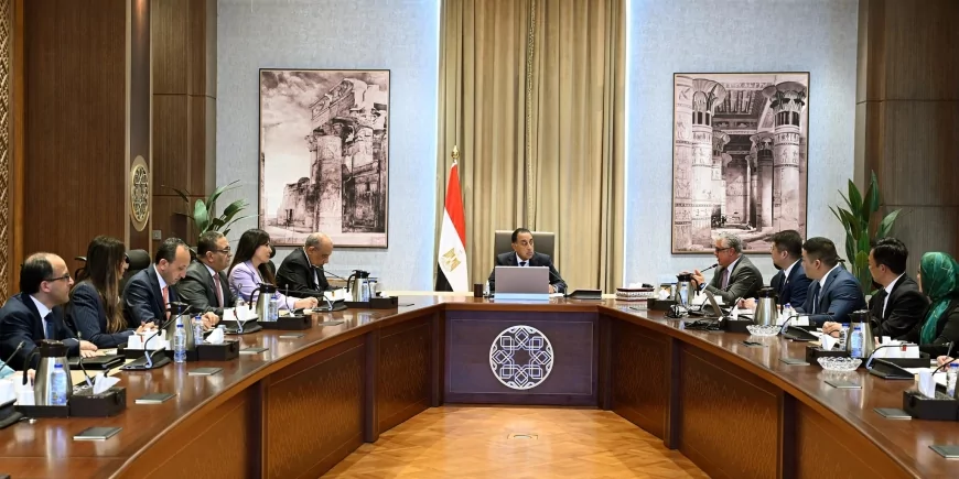 توطين صناعة الطاقة المتجددة في مصر.. رئيس الوزراء يبحث مع "صن ريف سولار" الصينية إنشاء مصنع بالعين السخنة