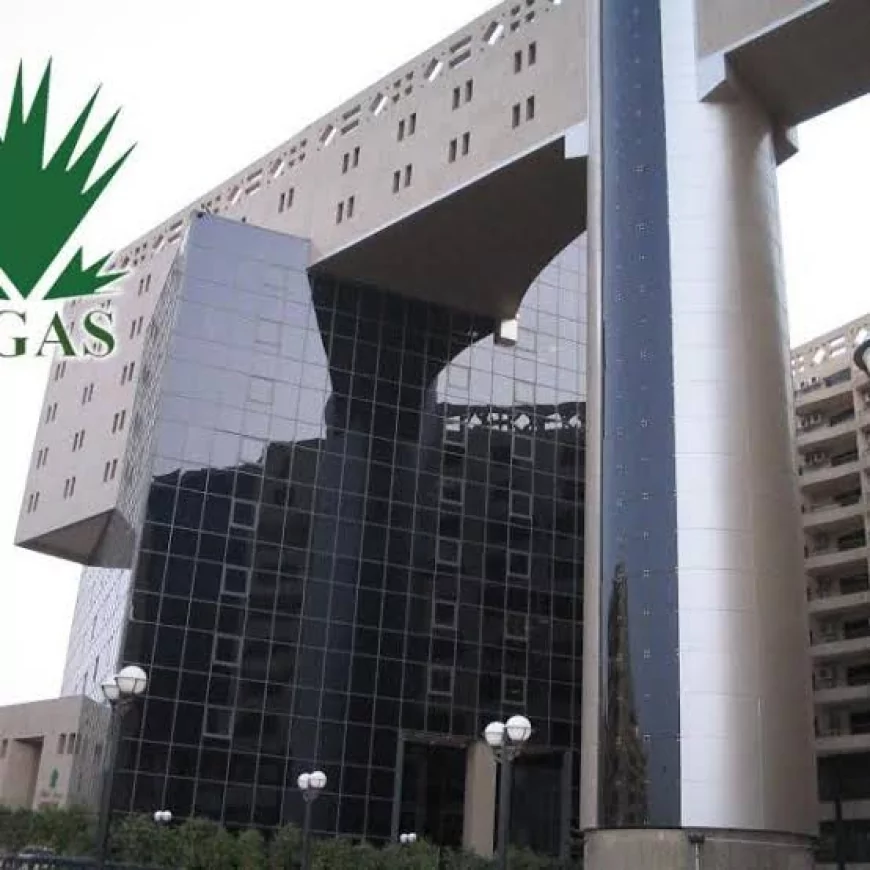مستقبل الطاقة يبدأ من هنا.. إيجاس تستعرض إنجازاتها أمام الوزير