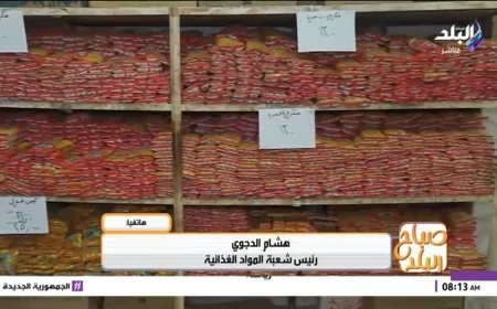 شعبة المواد الغذائية: مخزون السلع يكفي احتياجات المصريين وضيوفهم.. وطالبنا بدعم نقدي مشروط