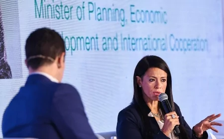 "المشاط" تكشف عن برنامج إصلاح اقتصادي جديد يستهدف "الاقتصاد الحقيقي" عبر القطاع الخاص