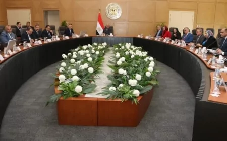 وزير الكهرباء يدفع بخطة إعادة هيكلة القطاع لتعزيز التنافسية والحوكمة