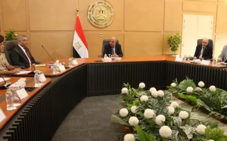 بأمر رئاسي: لجنة عليا لـ "العناصر الأرضية النادرة" تبدأ عملها برئاسة وزير الكهرباء