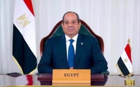 الرئيس السيسي يلتقي رئيس  مجموعة الصين الوطنية للهندسة الكيميائية