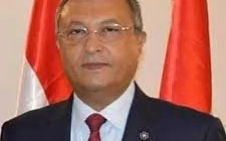 المهندس أسامة كمال رئيسا للجنة الطاقة والقوى العاملة بالشيوخ