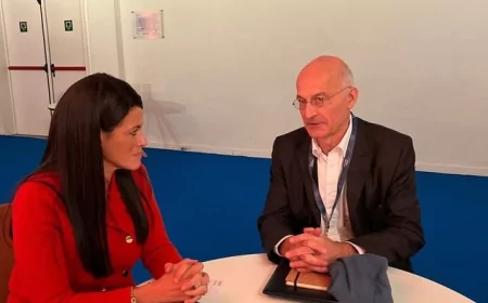 وزيرة التخطيط تبحث مع نائب رئيس "ألستوم" الفرنسية تعزيز الاستثمارات في مصر وتوطين صناعة النقل