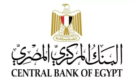 البنك المركزي: 161.23 مليار دولار حجم الدين الخارجي لمصر بنهاية يونيو 2025