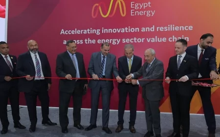 انطلاق معرضي "مصر للطاقة" و"فايركس مصر 2025" برعاية وزارتي الكهرباء والبيئة